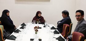 سخنگوی دولت با استقبال استاندار وارد کرمان شد