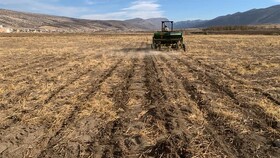 آغاز عملیات کاشت نخود پاییزه در ایوان با روش کشت مستقیم