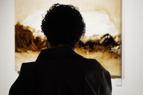 نمایشگاه «شبیه دیدن با لنز ۲.۵»؛ حاصل هفت سال جست‌وجو در طبیعت