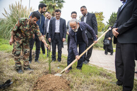 کاشت درخت توسط «محمدعلی نادعلی‌زاده» مدیرعامل خبرگزاری دانشجویان ایران (ایسنا) در محوطه فضای سبز دانشگاه آزاد اسلامی نکا