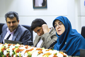 سخنرانی فاطمه مهاجرانی، سخنگوی دولت در نشست فعالان اقتصادی استان کرمان