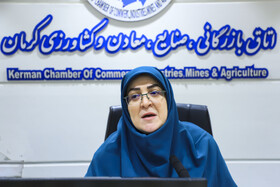 سخنرانی فاطمه مهاجرانی، سخنگوی دولت در نشست فعالان اقتصادی استان کرمان