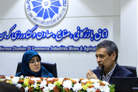 نشست فعالان اقتصادی استان کرمان با حضور فاطمه مهاجرانی، سخنگوی دولت