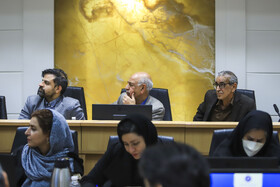 نشست فعالان اقتصادی استان کرمان با حضور فاطمه مهاجرانی، سخنگوی دولت