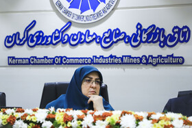  فاطمه مهاجرانی، سخنگوی دولت در نشست فعالان اقتصادی استان کرمان