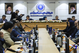 نشست فعالان اقتصادی استان کرمان با حضور فاطمه مهاجرانی، سخنگوی دولت