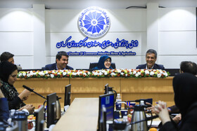 نشست فعالان اقتصادی استان کرمان با حضور فاطمه مهاجرانی، سخنگوی دولت