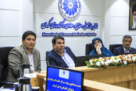 نشست فعالان اقتصادی استان کرمان با حضور فاطمه مهاجرانی، سخنگوی دولت