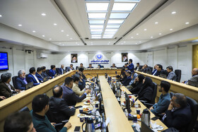 نشست فعالان اقتصادی استان کرمان با حضور فاطمه مهاجرانی، سخنگوی دولت