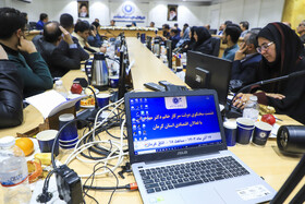 نشست فعالان اقتصادی استان کرمان با حضور فاطمه مهاجرانی، سخنگوی دولت