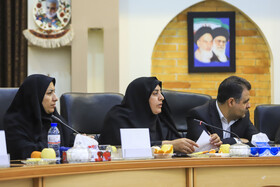 نشست زنان مدیر استان کرمان با حضور فاطمه مهاجرانی ،سخنگوی دولت