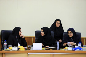 نشست زنان مدیر استان کرمان با حضور سخنگوی دولت