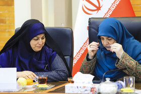 نشست زنان مدیر استان کرمان با حضور فاطمه مهاجرانی، سخنگوی دولت