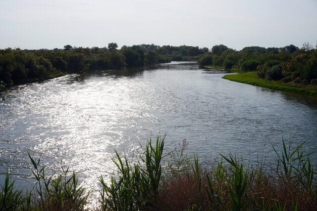 روایت تلخ گلستان و ترکمنچای با همراهی شبنم مقدمی