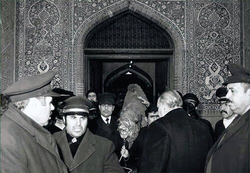 سرنوشت شتری که به حرم امام رضا(ع) پناه برد