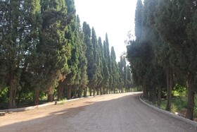 باغ سه‌گوش‌ نماد تازه زیست فرهنگی و سبز شیراز می‌شود