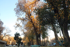 آخرین روزهای پاییزی در کرمانشاه