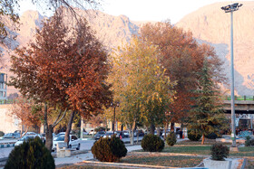 آخرین روزهای پاییزی در کرمانشاه