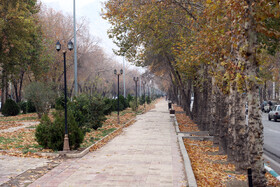 آخرین روزهای پاییزی در کرمانشاه