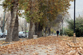 آخرین روزهای پاییزی در کرمانشاه