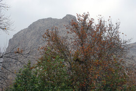 آخرین روزهای پاییزی در کرمانشاه