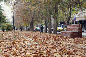 آخرین روزهای پاییزی در کرمانشاه