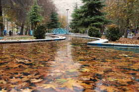 آخرین روزهای پاییزی در کرمانشاه