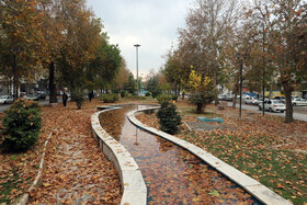 آخرین روزهای پاییزی در کرمانشاه