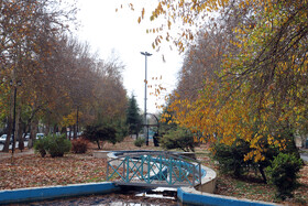 آخرین روزهای پاییزی در کرمانشاه