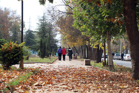 آخرین روزهای پاییزی در کرمانشاه