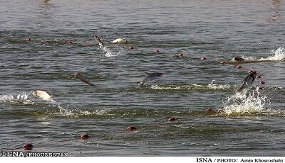 امکان بهره‌برداری هوشمندانه‌تر از منابع دریایی در برنامه هفتم توسعه