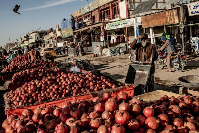 مرزهای بسته؛ زندگی‌های معلق میان کابل و پیشاور