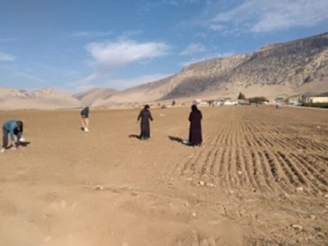 خشکه‌کاری گندم موجب جهش تولید دیم شود