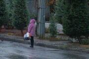 ورود سامانه بارشی از جنوب کشور / بارش باران در اکثر نقاط کشور