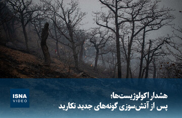 ویدیو/ هشدار اکولوژیست‌ها؛ پس از آتش‌سوزی، گونه‌های جدید نکارید