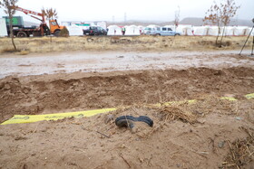 مانور زلزله «صلابت آذربایجان» در تبریز