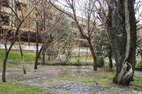 «باران و برف، نوای تازه‌ای در هوای همدان نواختند»