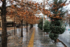 «باران و برف، نوای تازه‌ای در هوای همدان نواختند»