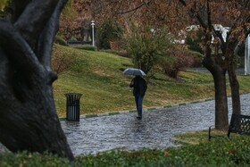 «باران و برف، نوای تازه‌ای در هوای همدان نواختند»