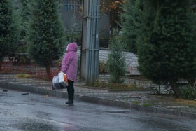 «باران و برف، نوای تازه‌ای در هوای همدان نواختند»