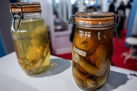 دومین روز نمایشگاه پژوهش و فناوری - مشهد