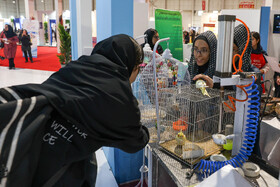 دومین روز نمایشگاه پژوهش و فناوری - مشهد