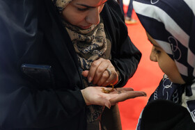 دومین روز نمایشگاه پژوهش و فناوری - مشهد