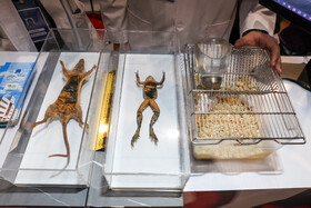 دومین روز نمایشگاه پژوهش و فناوری - مشهد