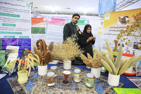  نمایشگاه هفته پژوهش و فناوری استان کرمان