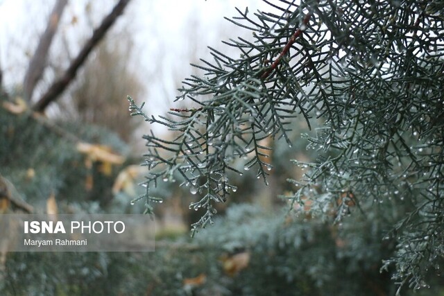 بارش‌های اخیر کم‌آبی کشور را جبران نمی‌کند