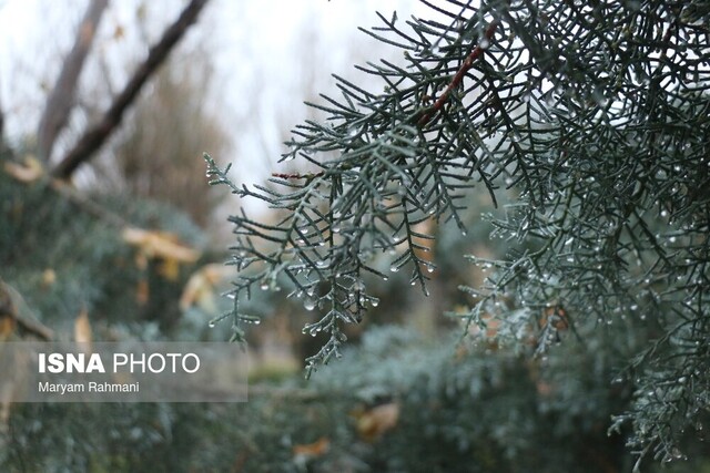 هشدار سطح زرد هواشناسی در گلستان/ ورود سامانه سرد و بارشی