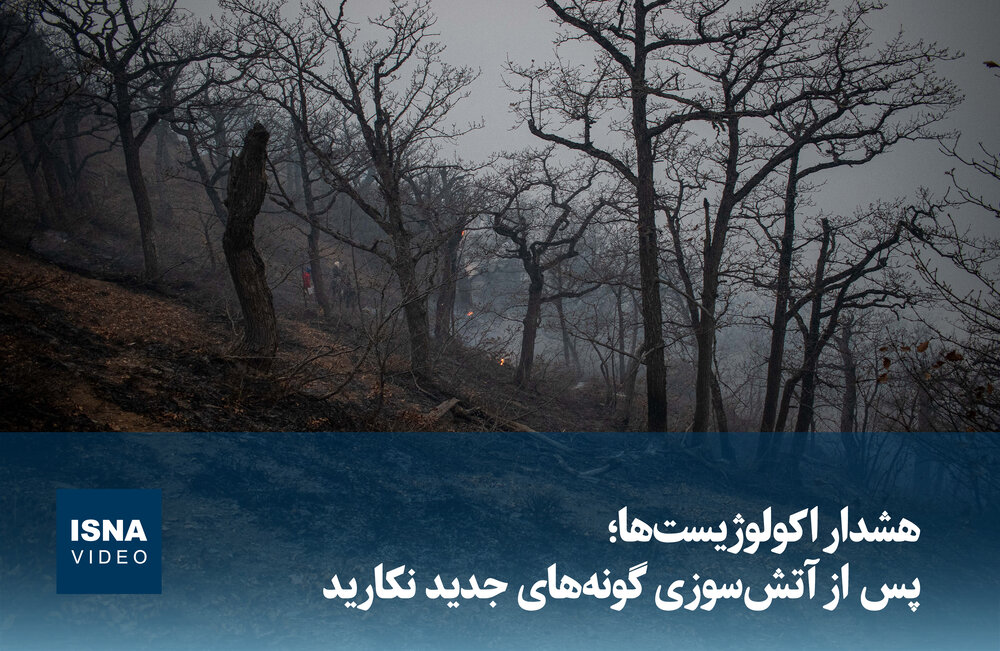 ویدیو/ هشدار اکولوژیستها؛ پس از آتشسوزی، گونههای جدید نکارید