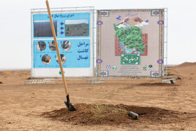 پویش کاشت نهال با عنوان "در سایه مادر"