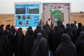 پویش کاشت نهال با عنوان "در سایه مادر"